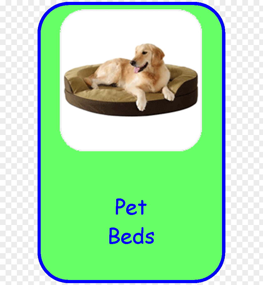 Puppy Dog Breed Golden Retriever Companion PNG