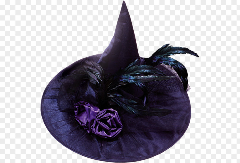 Purple Witch Hat Feather Costume PNG