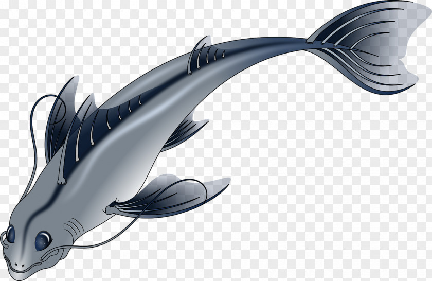 Swimming Fish Download PNG