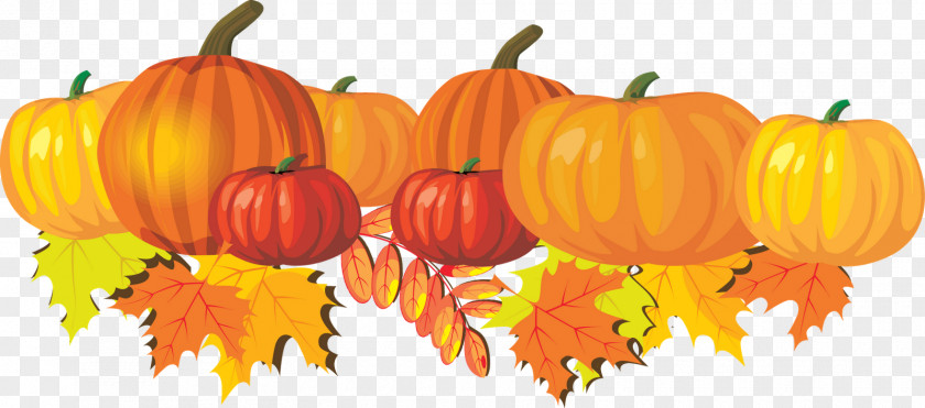 Thanksgiving Pumpkin Photos Pie Autumn Cucurbita Pepo Clip Art PNG
