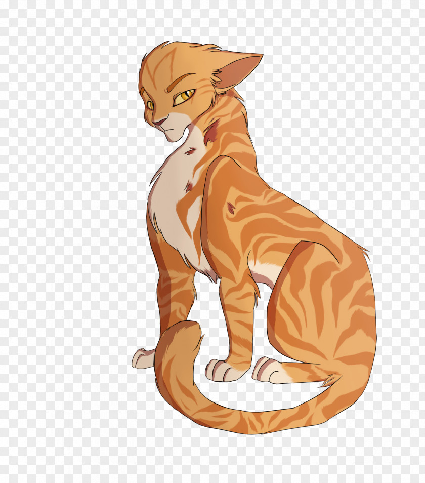 Cat Whiskers Warriors Tiger Art PNG