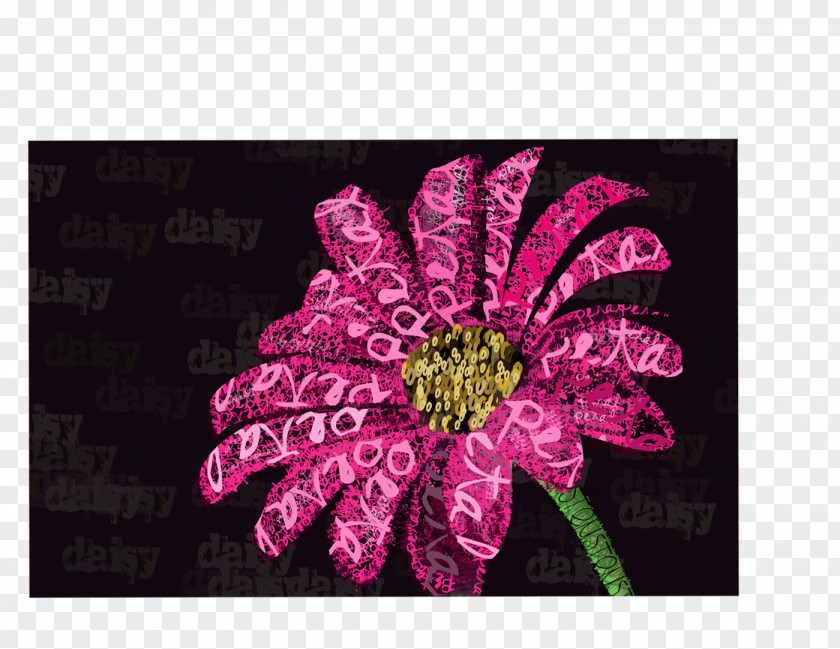 Flower Floral Design Cut Flowers Chrysanthemum Rosaceae PNG