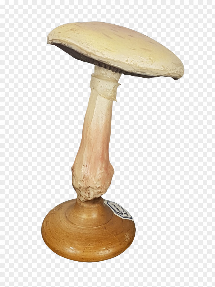 Fungi Furniture PNG