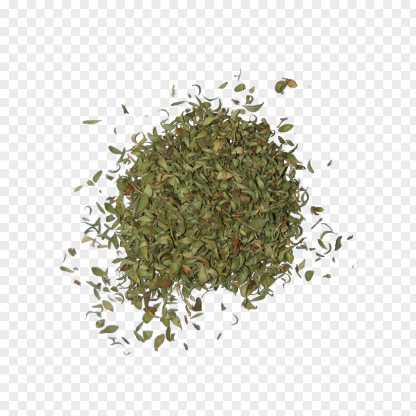 Herbs Tea Gyokuro Bancha Thymus Citriodorus Shincha PNG