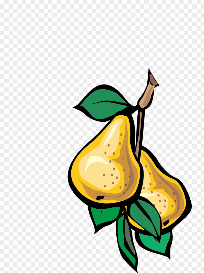 Pear Fruit Vegetable Euclidean Vector PNG