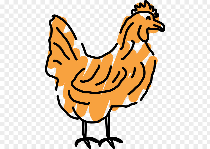 Cliparts Buffalo Wings Wing Chicken Clip Art PNG