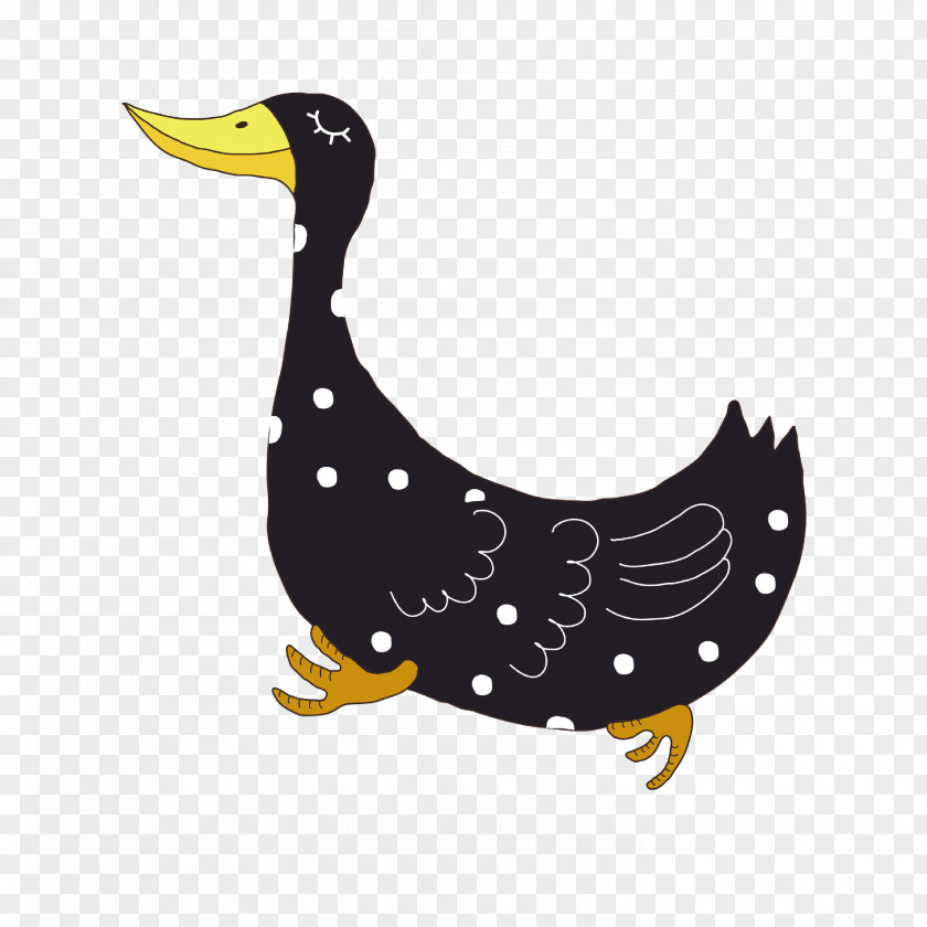 Cute Ducks Duck Goose Illustration PNG