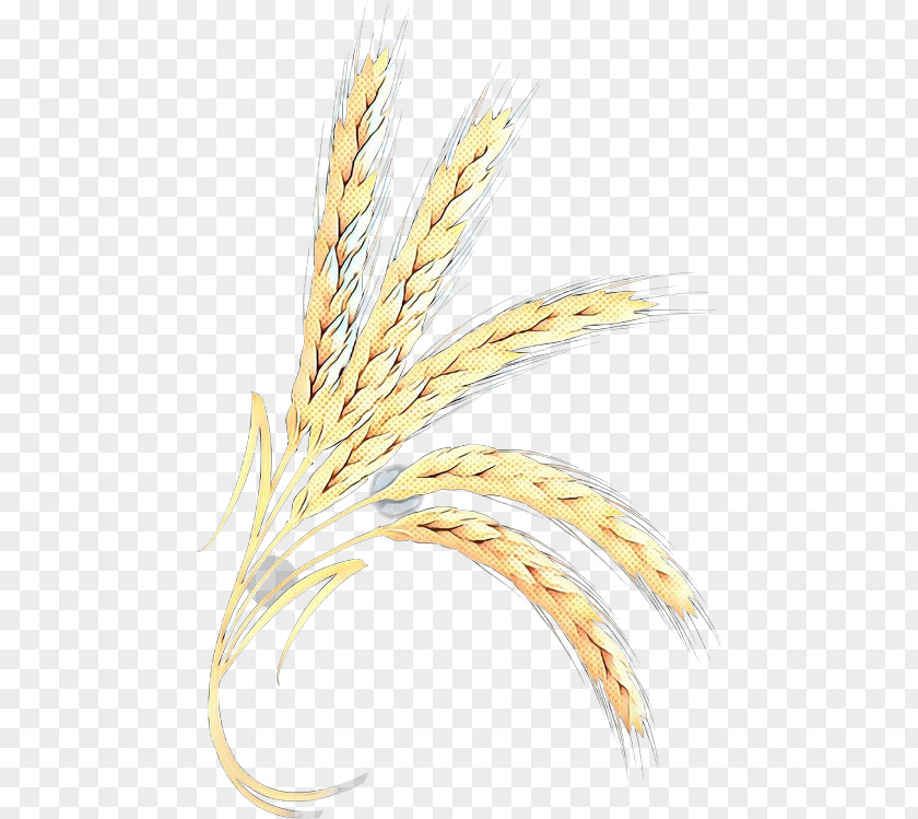 Emmer Grain Wheat PNG
