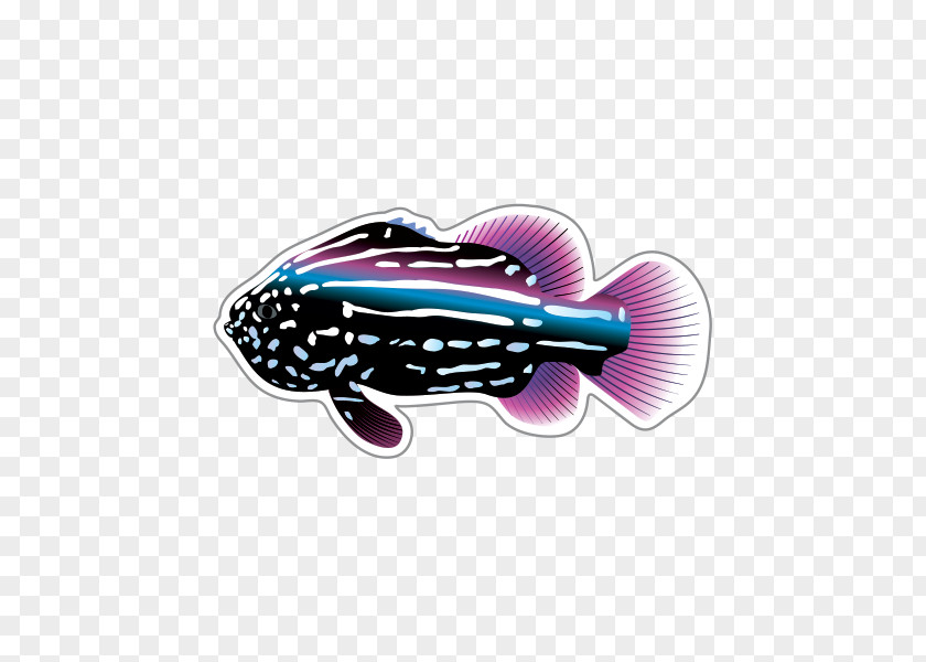 Fish Tropical Clip Art PNG