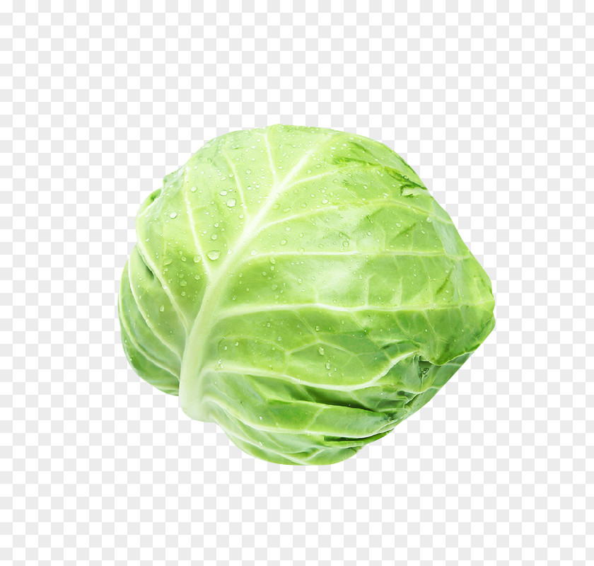 A Cabbage Savoy Romaine Lettuce Red Spring Greens PNG