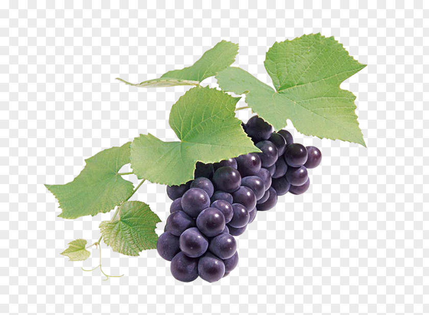 Black Grapes Grape Seed Extract Wine Grapefruit PNG