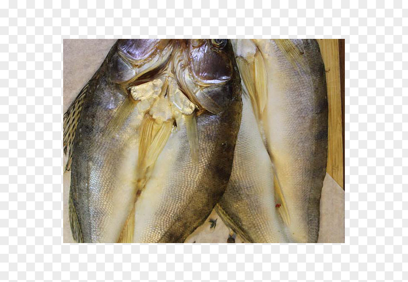 Fish Kipper Sardine Oily Products Salted PNG