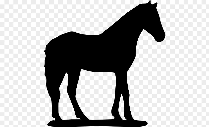 Horse Silhouette Download PNG