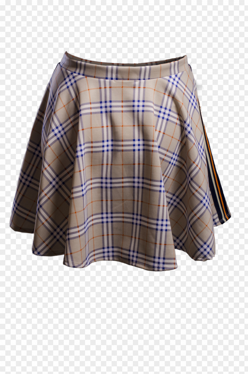 Jasmine Material Tartan Skirt PNG