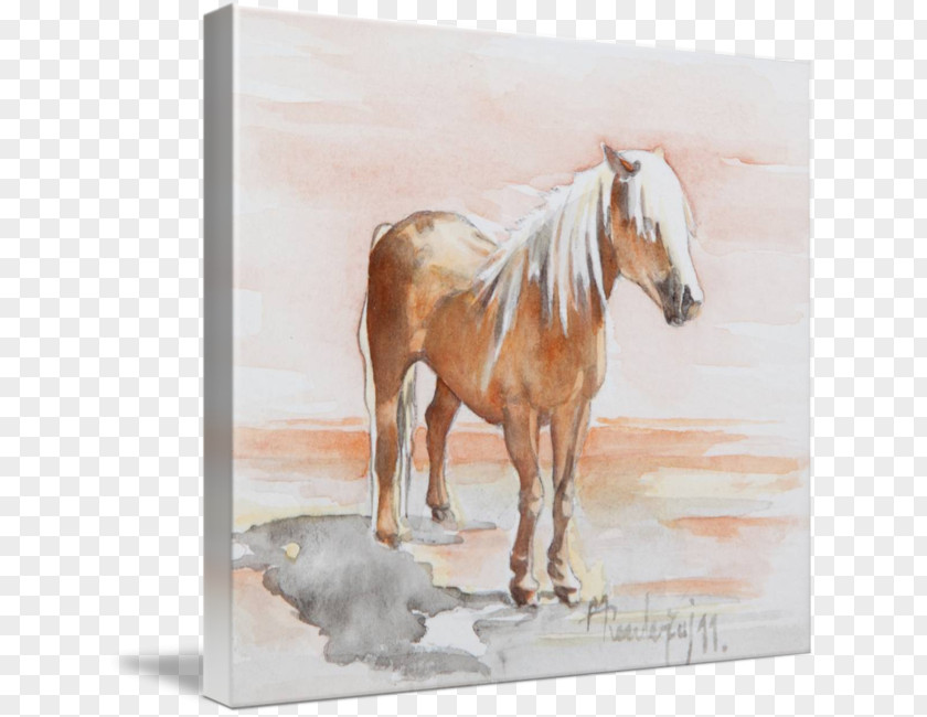 Mustang Stallion Mare Foal Watercolor Painting PNG