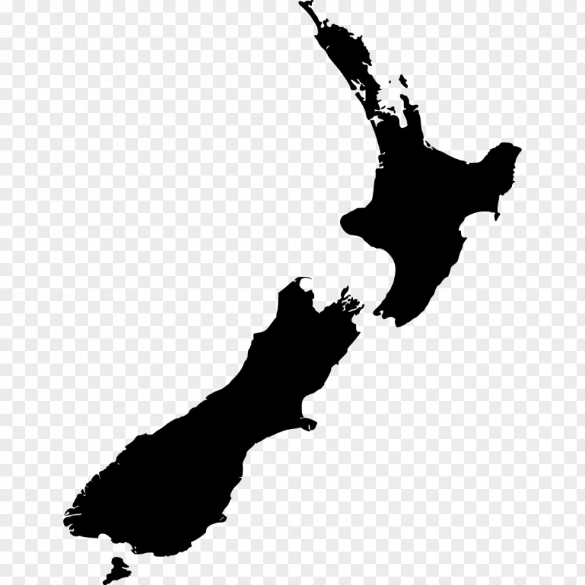 New Zealand Vector Map PNG