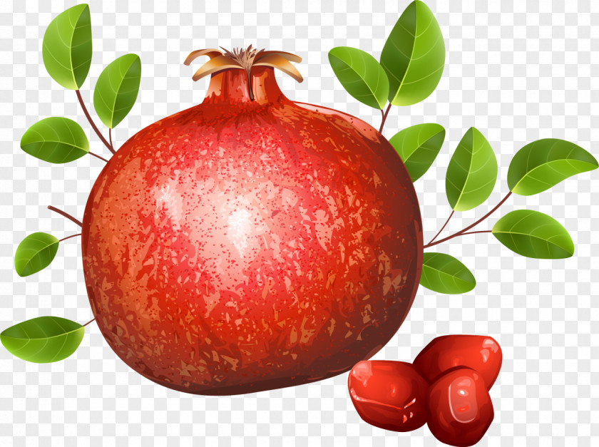 Pomegranate Royalty-free Clip Art PNG