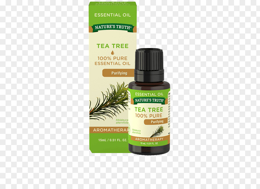 Tea Oil Tree Essential Aromatherapy PNG