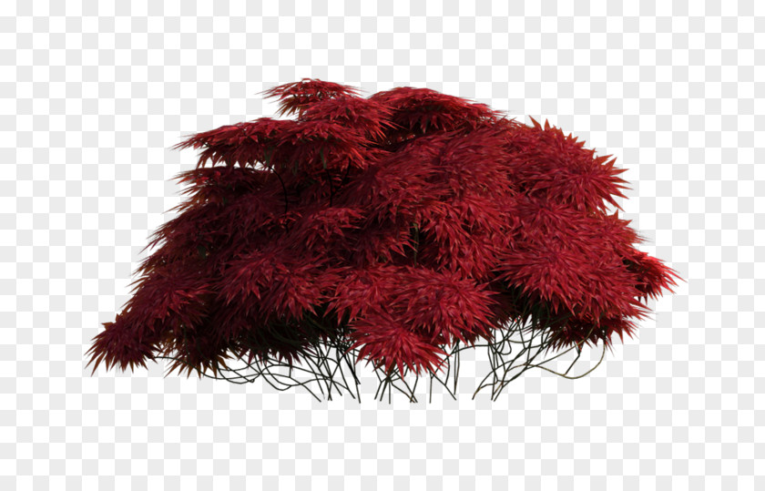 Tree Clip Art Fur Clothing Wool PNG