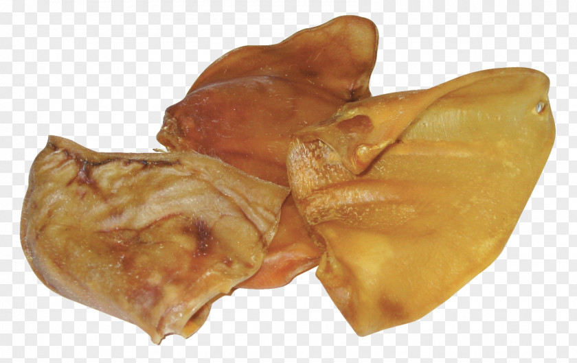 Dog Pig's Ear Domestic Pig PNG