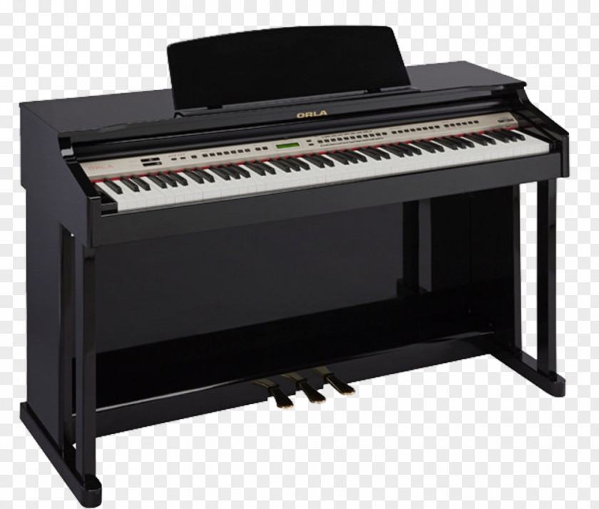 Piano Digital Upright Yamaha Corporation Keyboard PNG