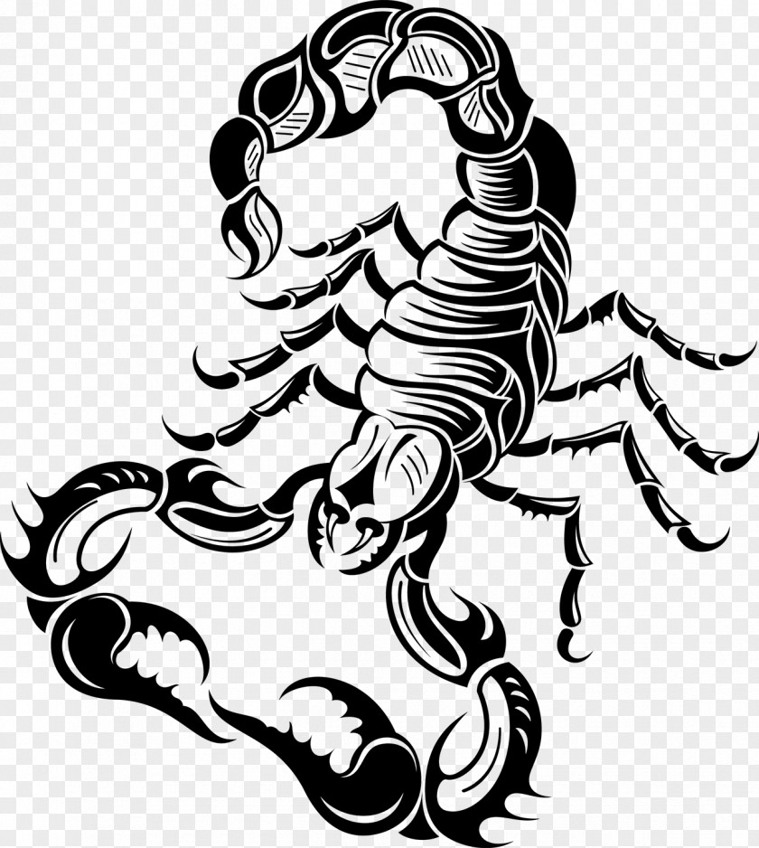 Tattoo Scorpion Illustration PNG