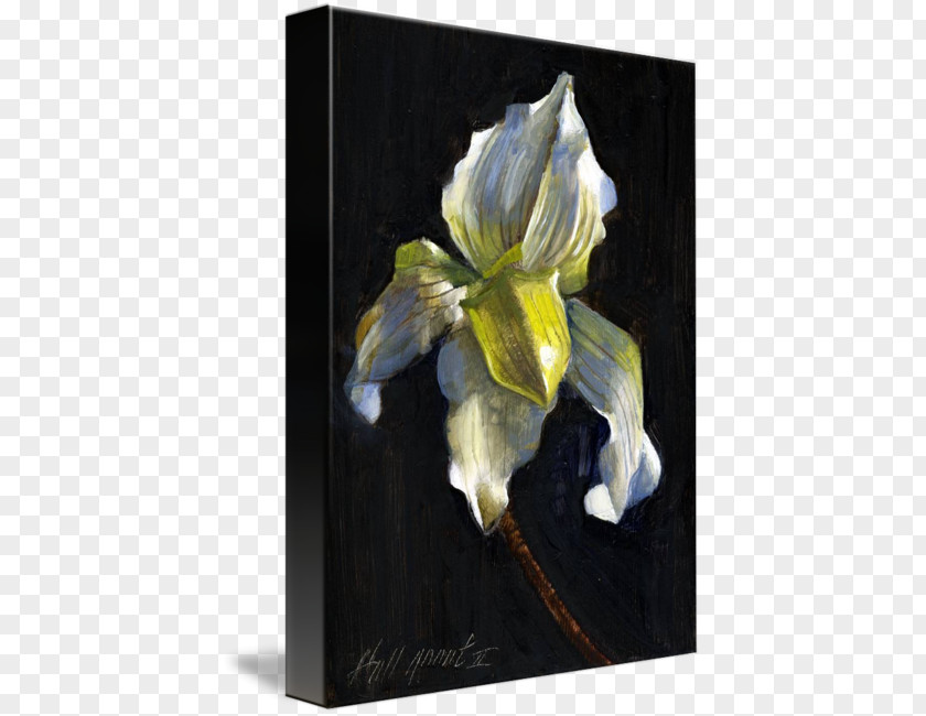 White Orchid Still Life Oil Painting Giclée Art PNG