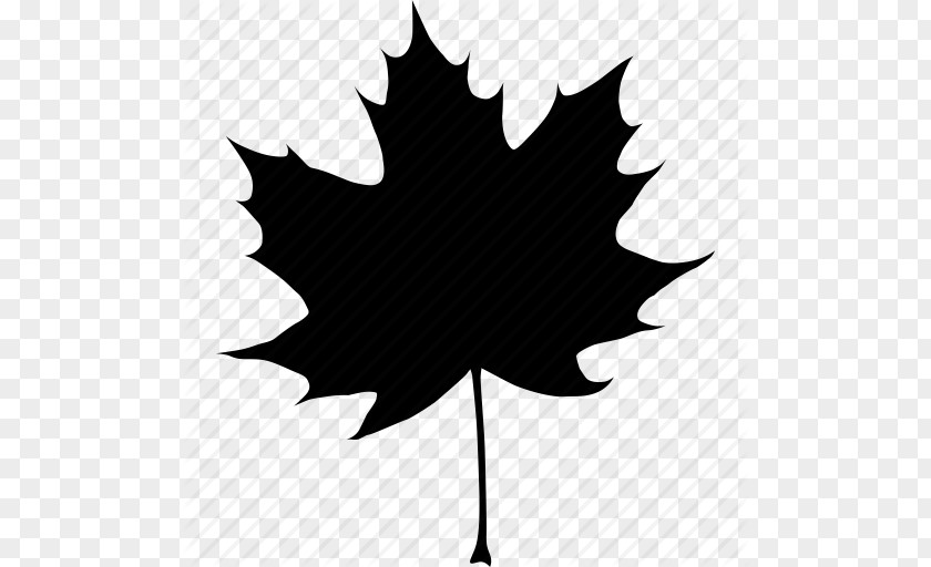 Black, Autumn, Canada, Canadian, Fall, Leaf, Maple, Tree Icon Canada Acer Nigrum Maple Leaf Autumn PNG