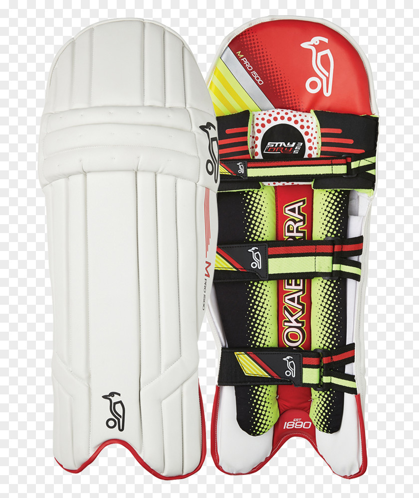 I Pad Cricket Bats Shin Guard Batting Sporting Goods PNG