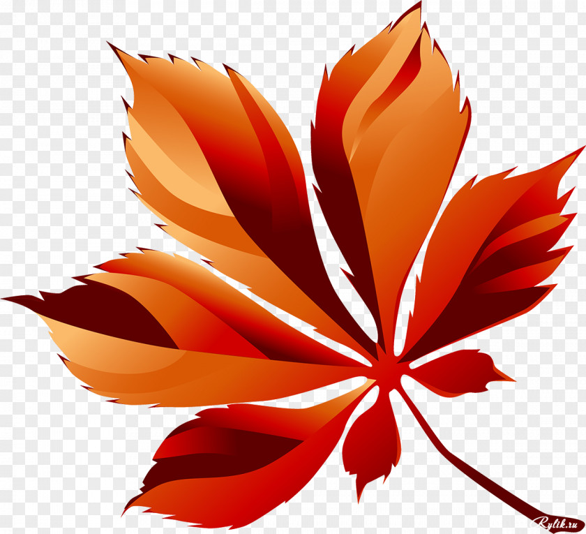Leaf Petal Raster Graphics Clip Art PNG