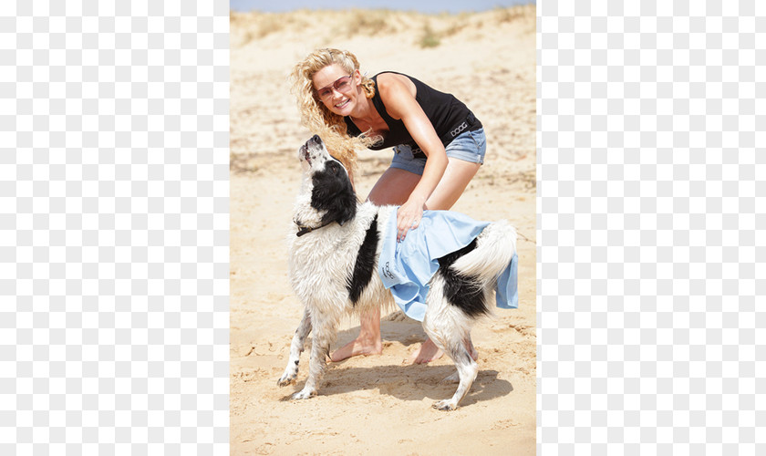 Dog Bath Towel Breed Border Collie Stabyhoun Chamois Leather PNG