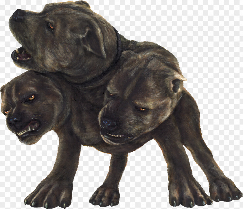 Fluffy Harry Potter And The Philosopher's Stone Rubeus Hagrid Dog Cerberus PNG