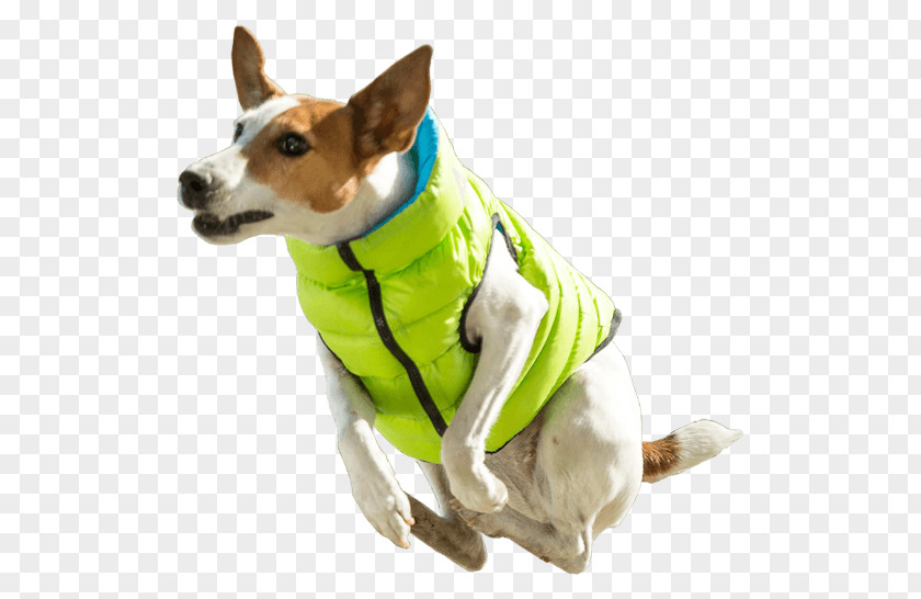 Jacket Dog Breed Waistcoat Gilets PNG