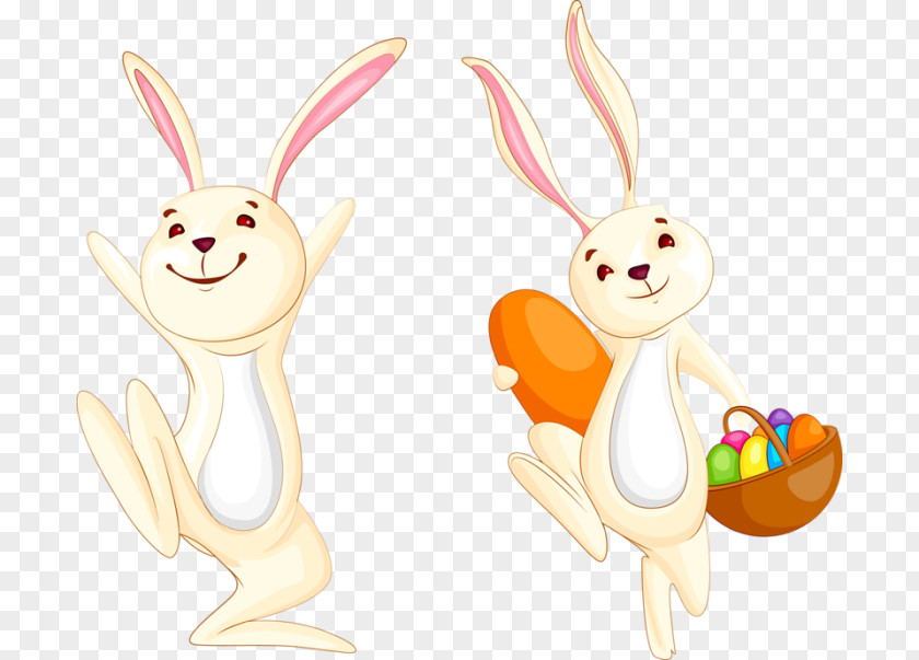 Rabbit Easter Bunny Hare PNG