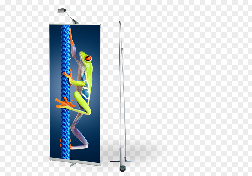 Rollup Banner PNG