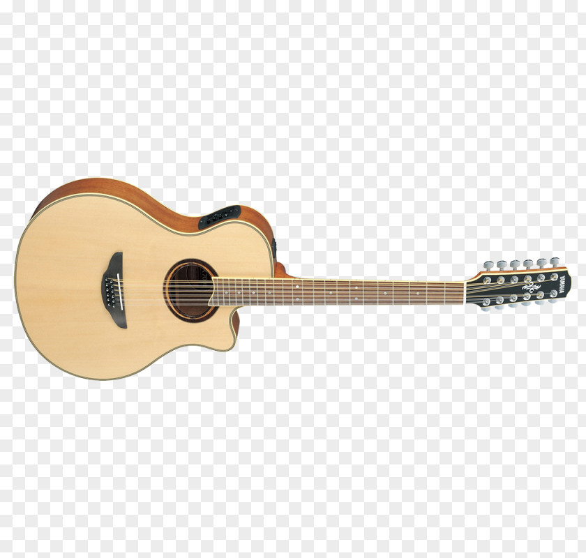 Acoustic Guitar Classical Cort Guitars Dreadnought Electric PNG