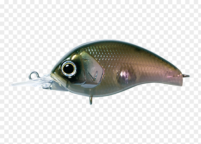 Fish Milkfish Spoon Lure Oily AC Power Plugs And Sockets PNG