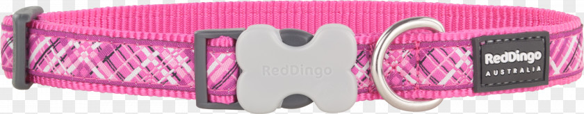 Red Collar Dog Dingo Harness PNG