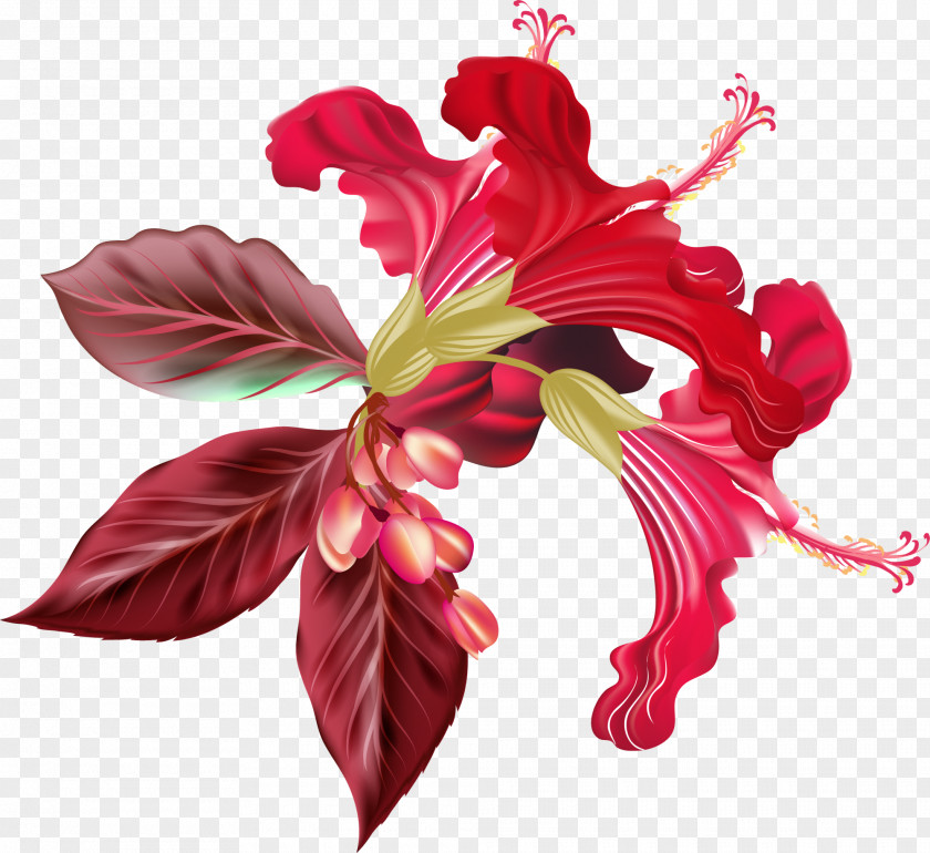 Red Concise Grass Flower Lilium Stock Illustration PNG