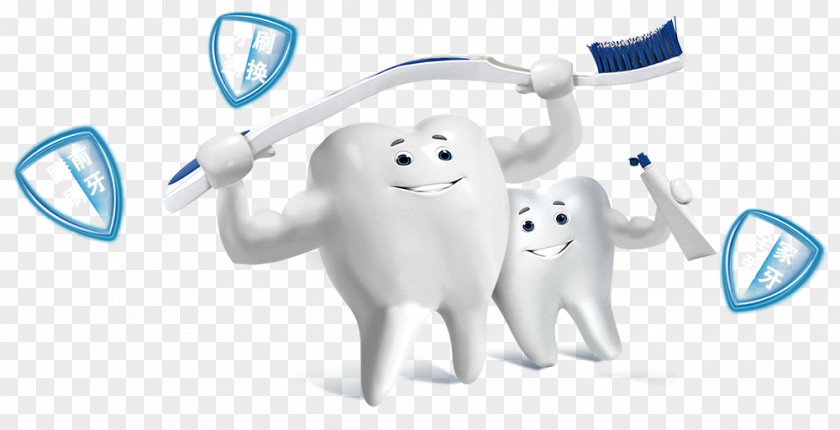 Teeth Toothbrush Tooth Brushing Mouth Whitening Toothpaste PNG