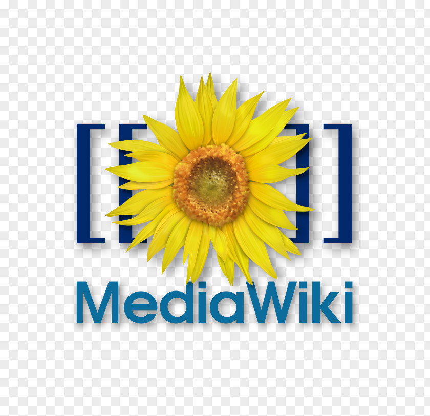 World Wide Web MediaWiki Wiki Software Computer PNG