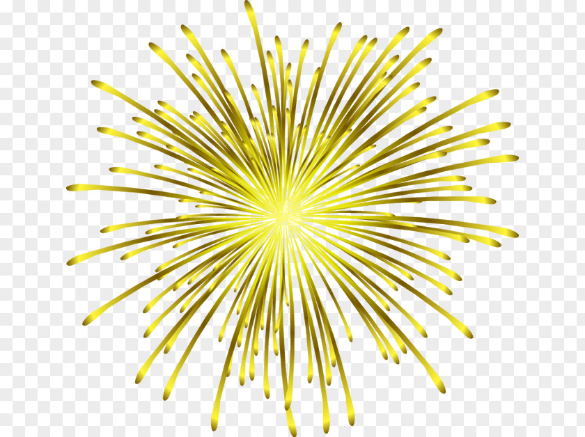 Cool Fireworks Adobe PNG