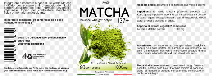 Tea Matcha Antioxidant Tablet Groupon PNG