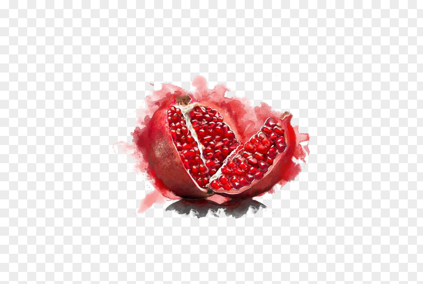 Watercolor Pomegranate Painting Fruit Vegetarian Cuisine Illustration PNG