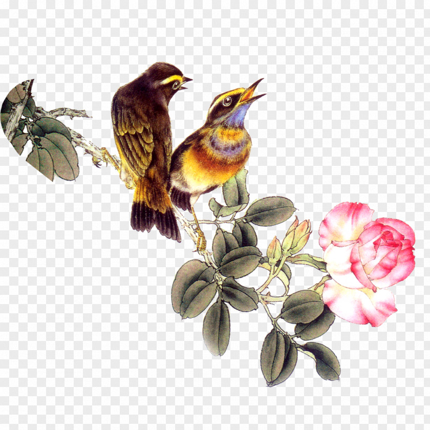 Birds And Flowers PNG