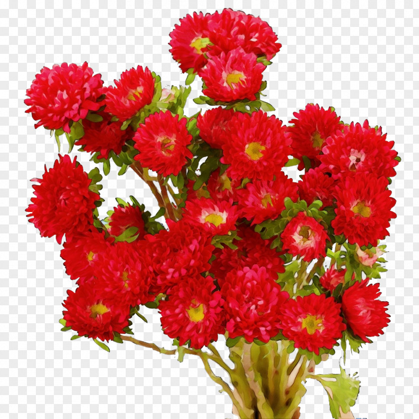 Floral Design PNG