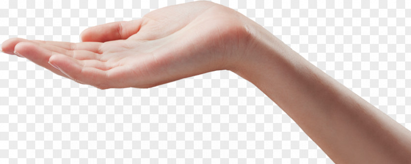 Hand Finger Wrist Arm PNG