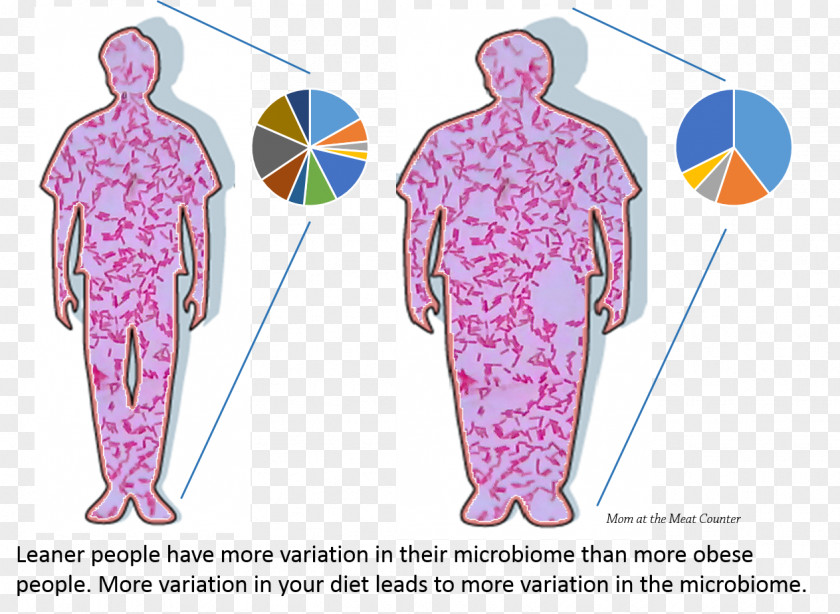 Health Human Microbiome Project Microbiota Gut Flora Obesity Bacteria PNG