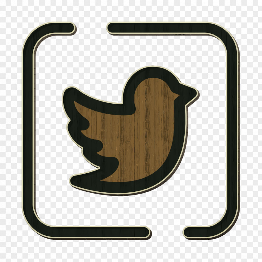 Twitter Icon Social Networks PNG
