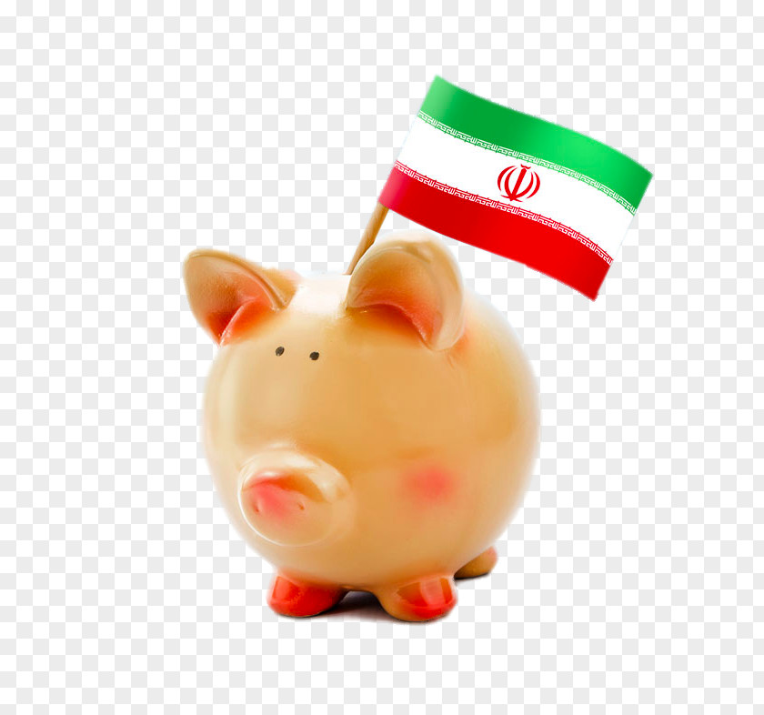 White Pig Piggy Bank National Flag Of Kosovo Stock Photography Kenya Paraguay PNG